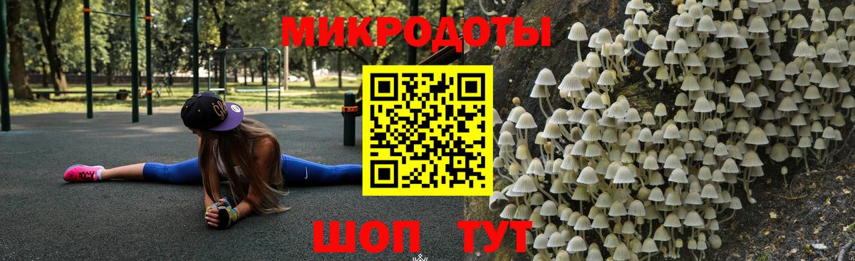 Березники  Псилоцибиновые грибы Cubensis  Вход с VPN 