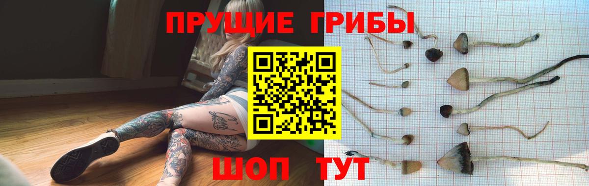 Галлюциногенные грибы Magic Shrooms Березники
